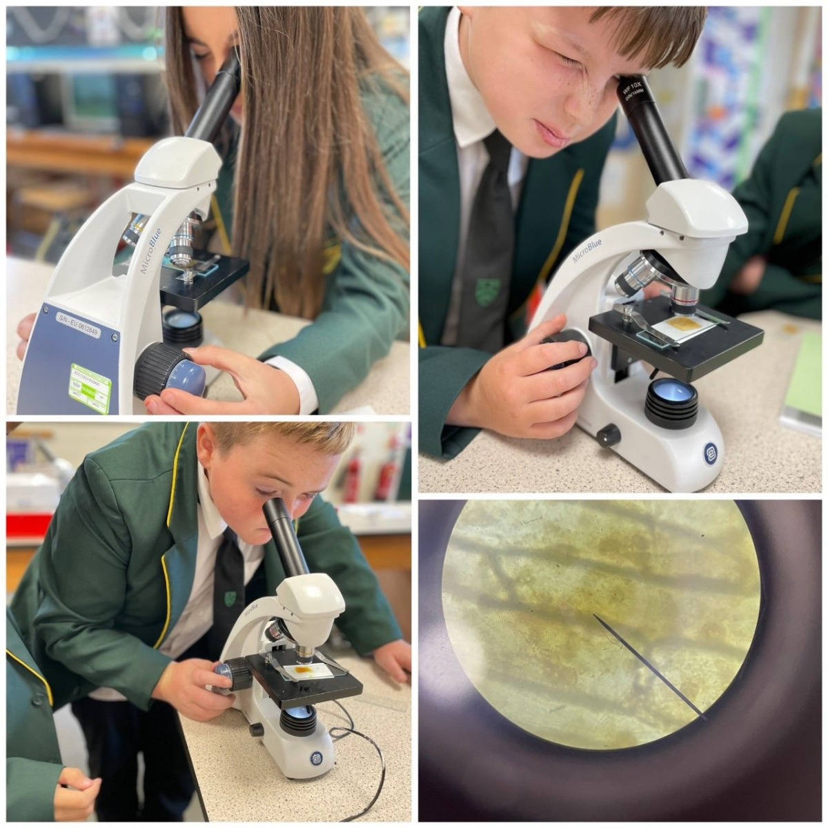 Colne Park High School - Getting to grips with microscopes...